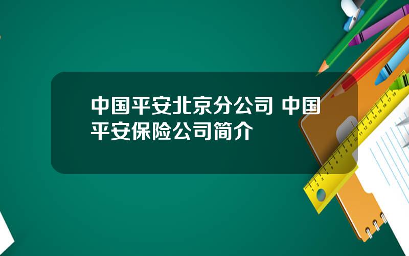 中国平安北京分公司 中国平安保险公司简介